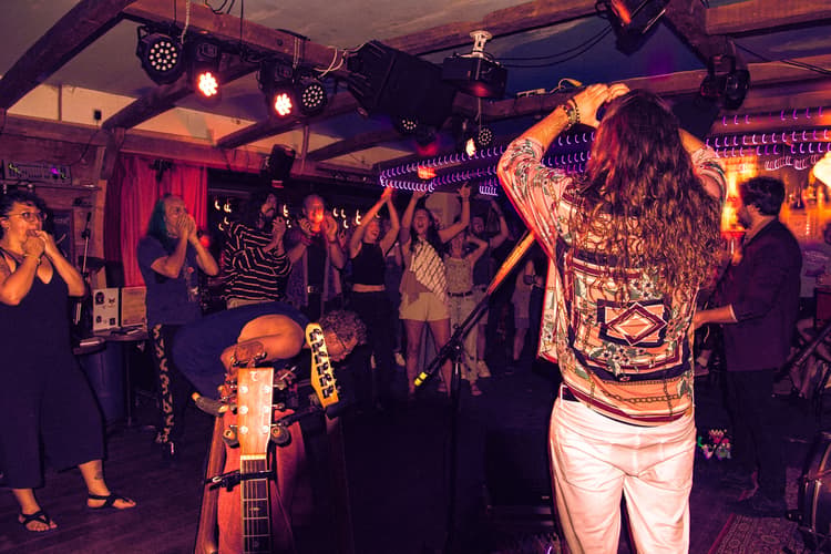 Moonlight Seekers performing live