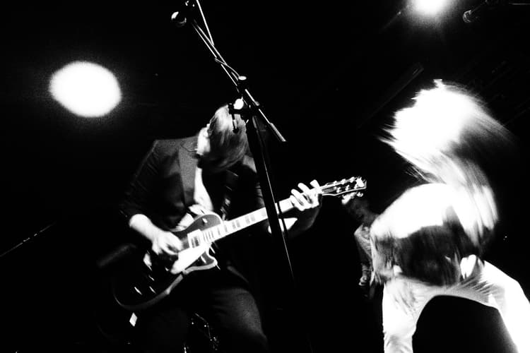 Moonlight Seekers performing live